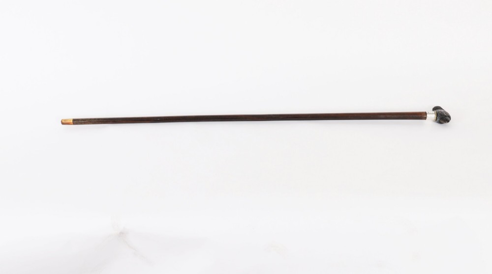 A dark hardwood Art Deco walking stick featuring a carved parrot head handle and a silver collar.