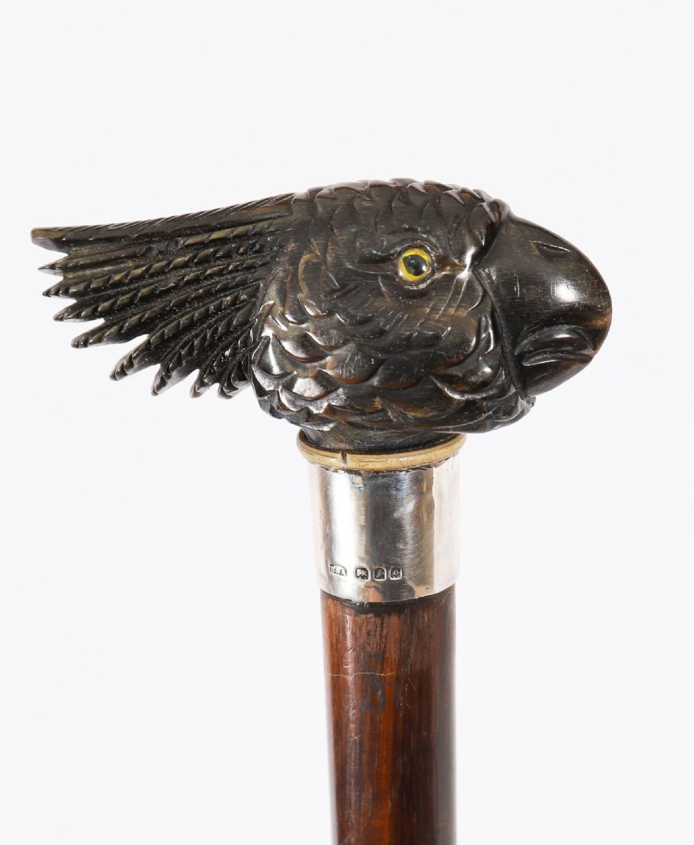 A dark hardwood Art Deco walking stick featuring a carved parrot head handle and a silver collar. View II