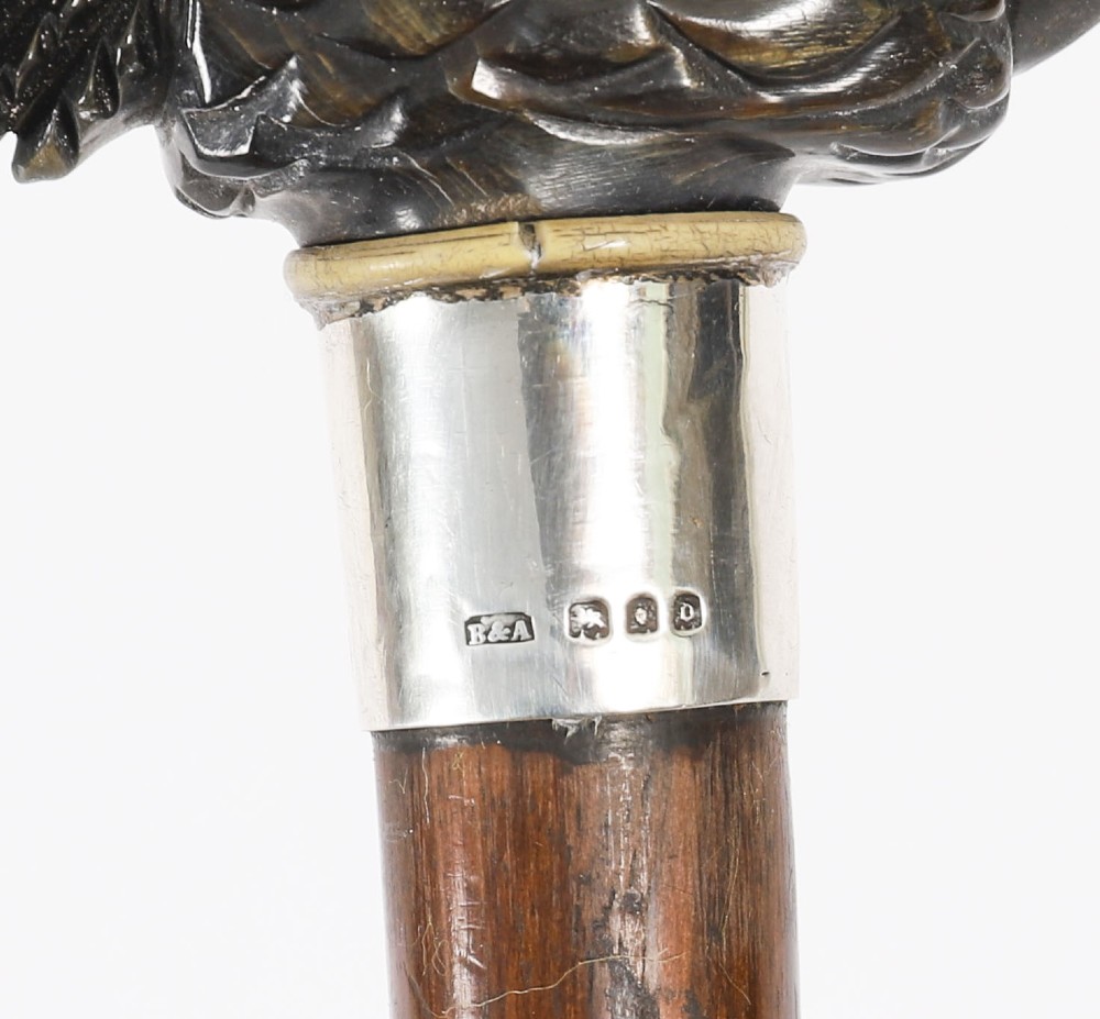A dark hardwood Art Deco walking stick featuring a carved parrot head handle and a silver collar. View III