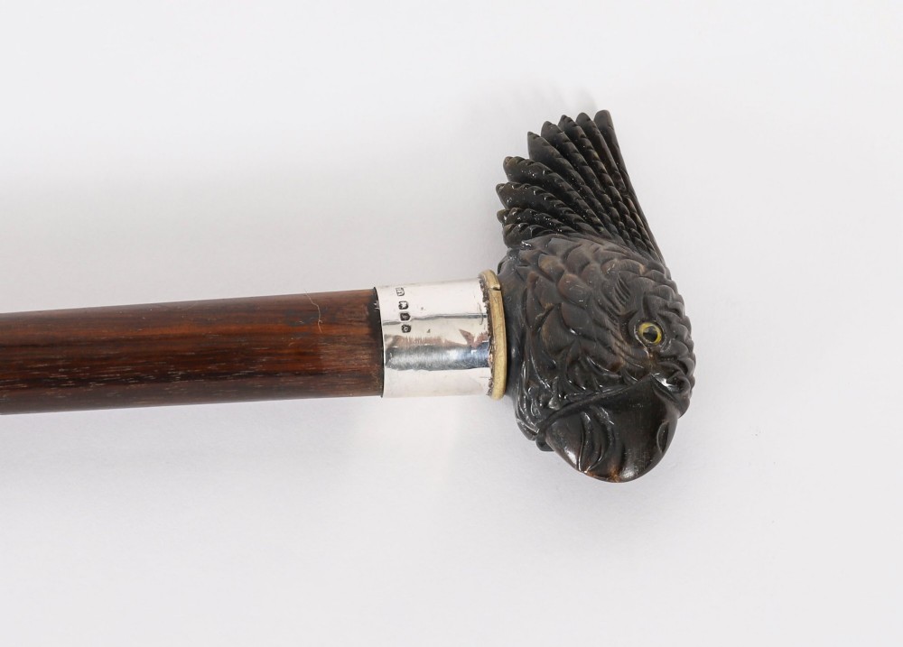 A dark hardwood Art Deco walking stick featuring a carved parrot head handle and a silver collar. View IV
