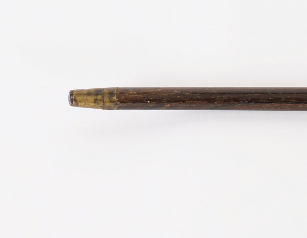 A dark hardwood Art Deco walking stick featuring a carved parrot head handle and a silver collar. View V
