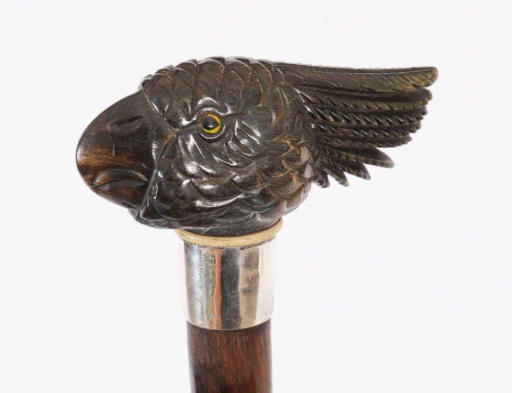 A dark hardwood Art Deco walking stick featuring a carved parrot head handle and a silver collar. View VI