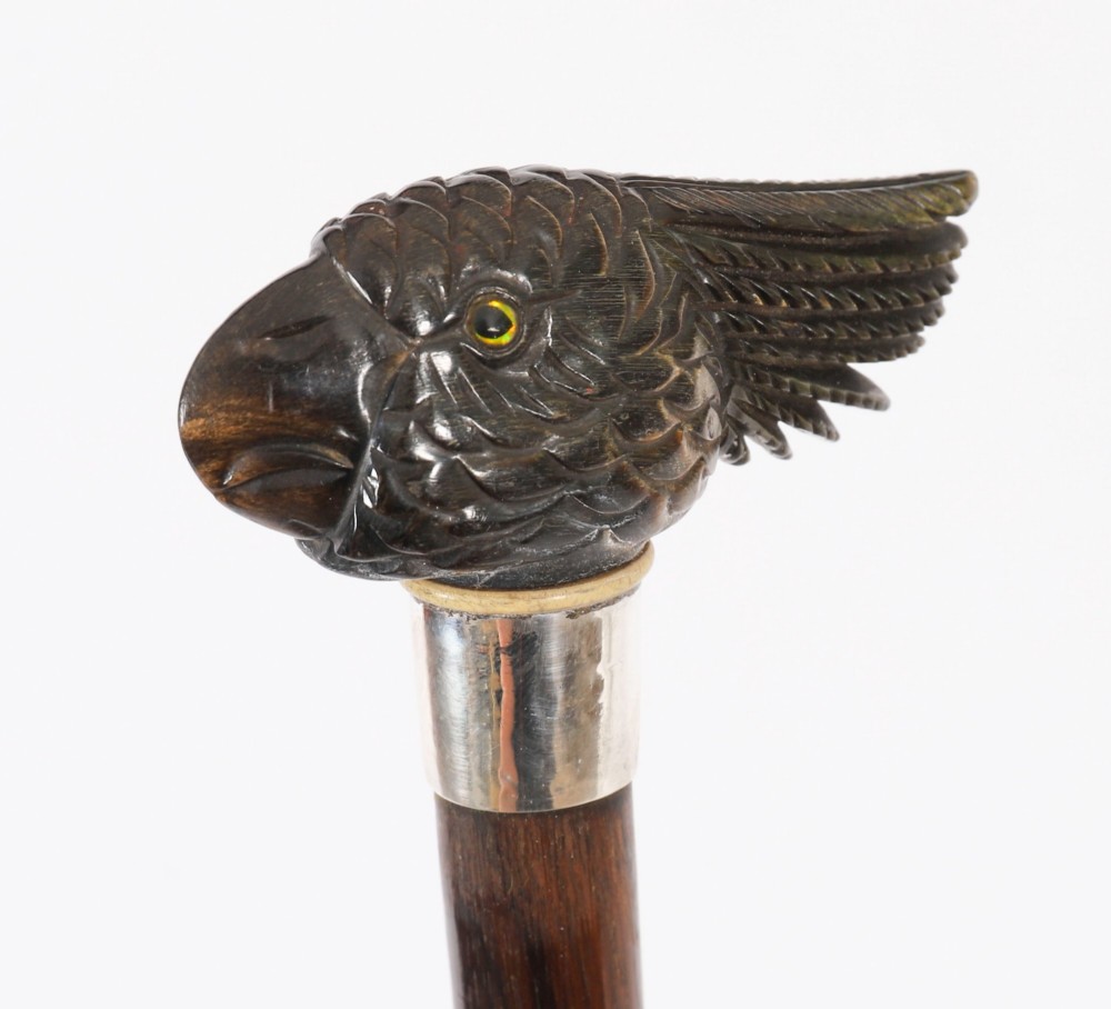 A dark hardwood Art Deco walking stick featuring a carved parrot head handle and a silver collar. View VII