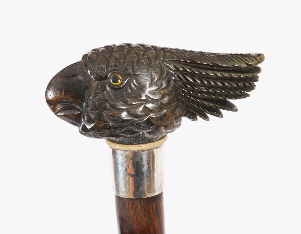 A dark hardwood Art Deco walking stick featuring a carved parrot head handle and a silver collar. View VIII