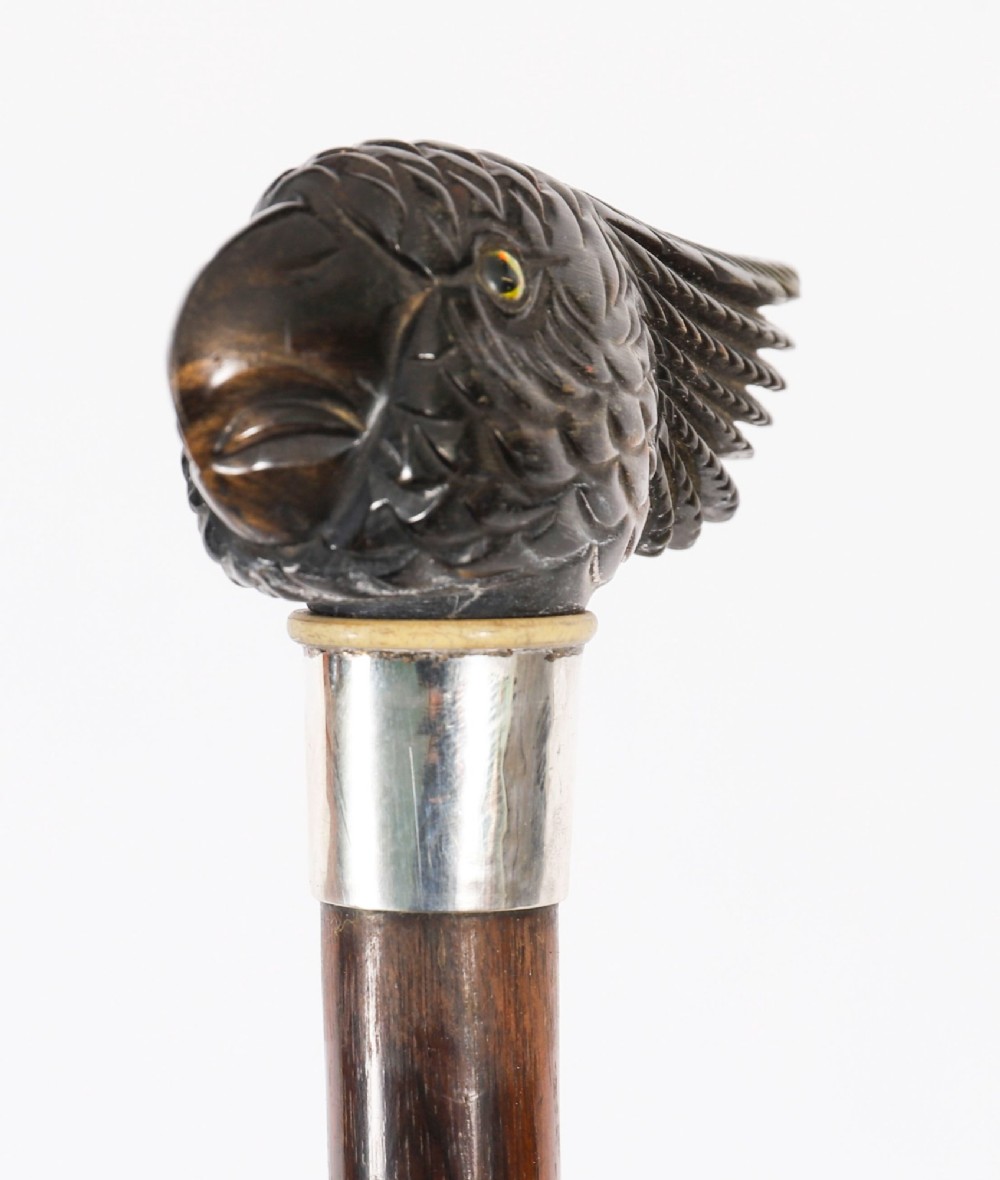 A dark hardwood Art Deco walking stick featuring a carved parrot head handle and a silver collar. View IX