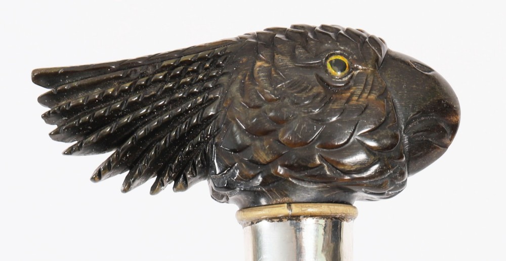 A dark hardwood Art Deco walking stick featuring a carved parrot head handle and a silver collar. View X