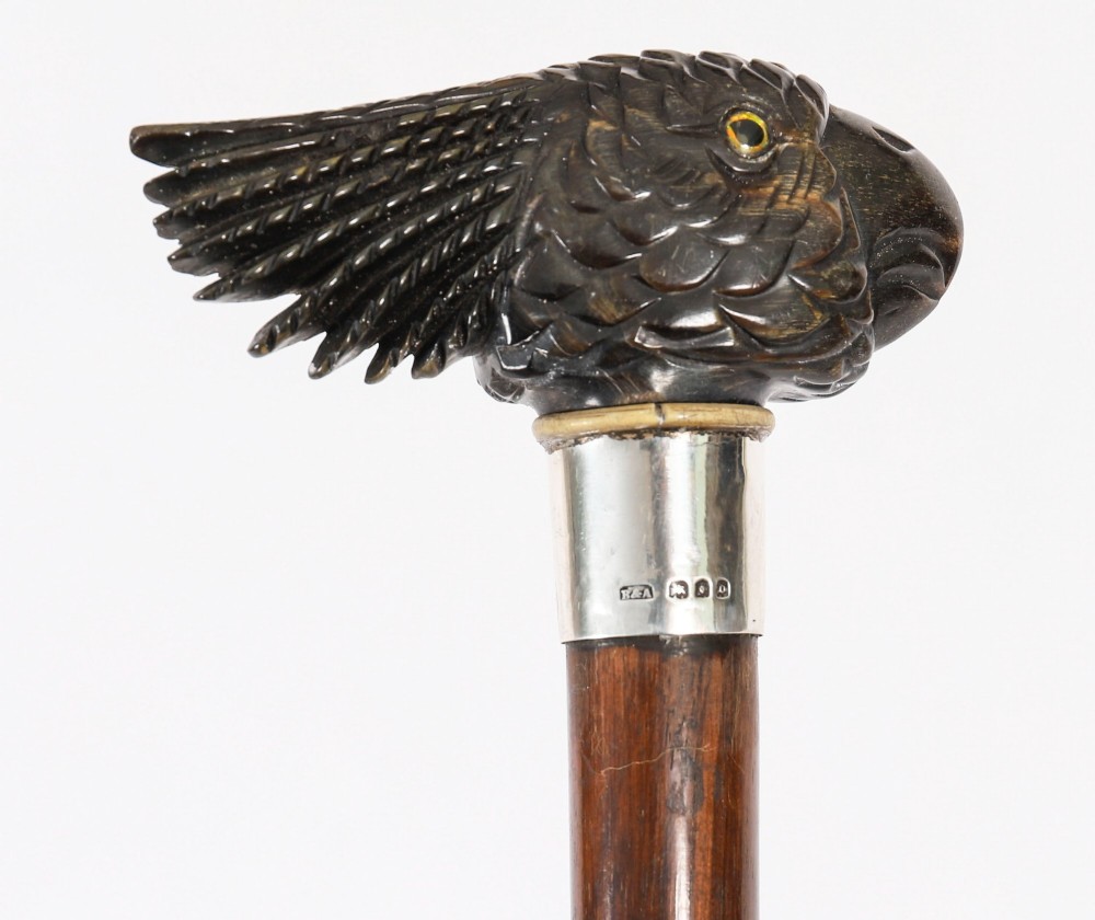A dark hardwood Art Deco walking stick featuring a carved parrot head handle and a silver collar. View XI