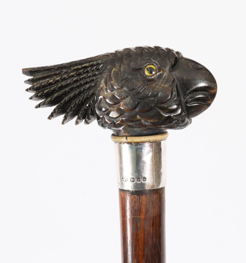 A dark hardwood Art Deco walking stick featuring a carved parrot head handle and a silver collar. View XII