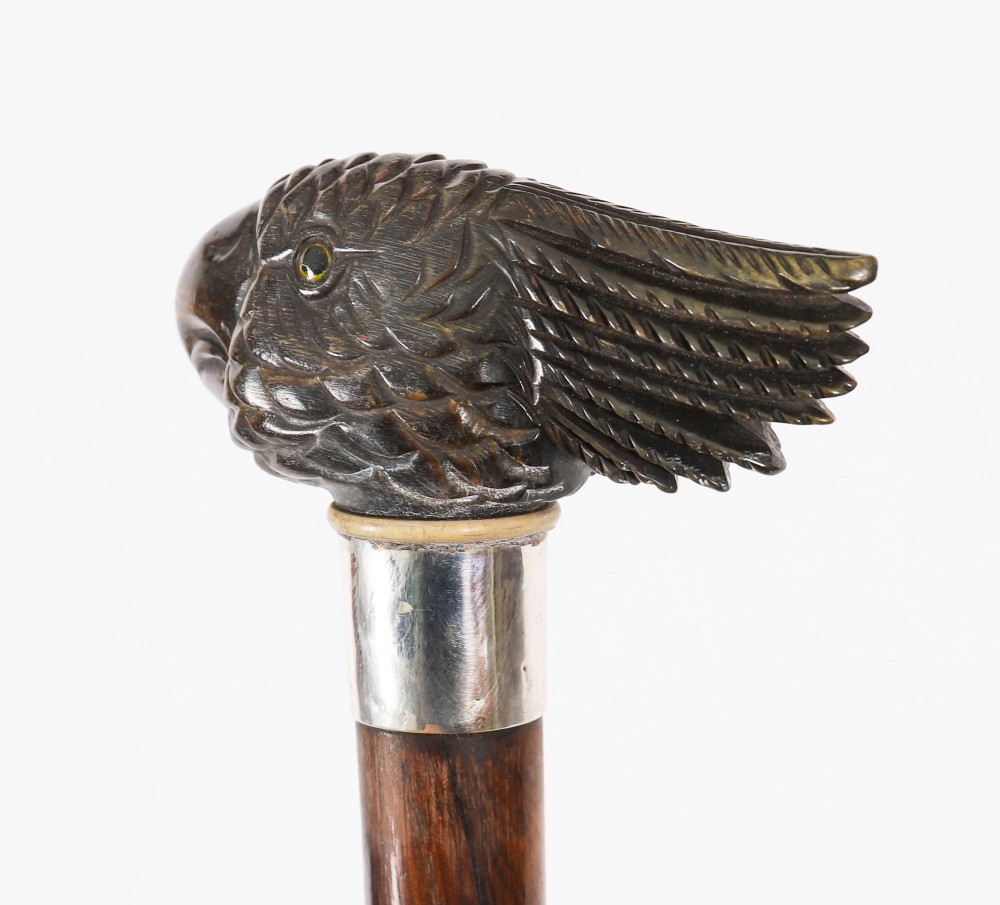 A dark hardwood Art Deco walking stick featuring a carved parrot head handle and a silver collar. View XIII