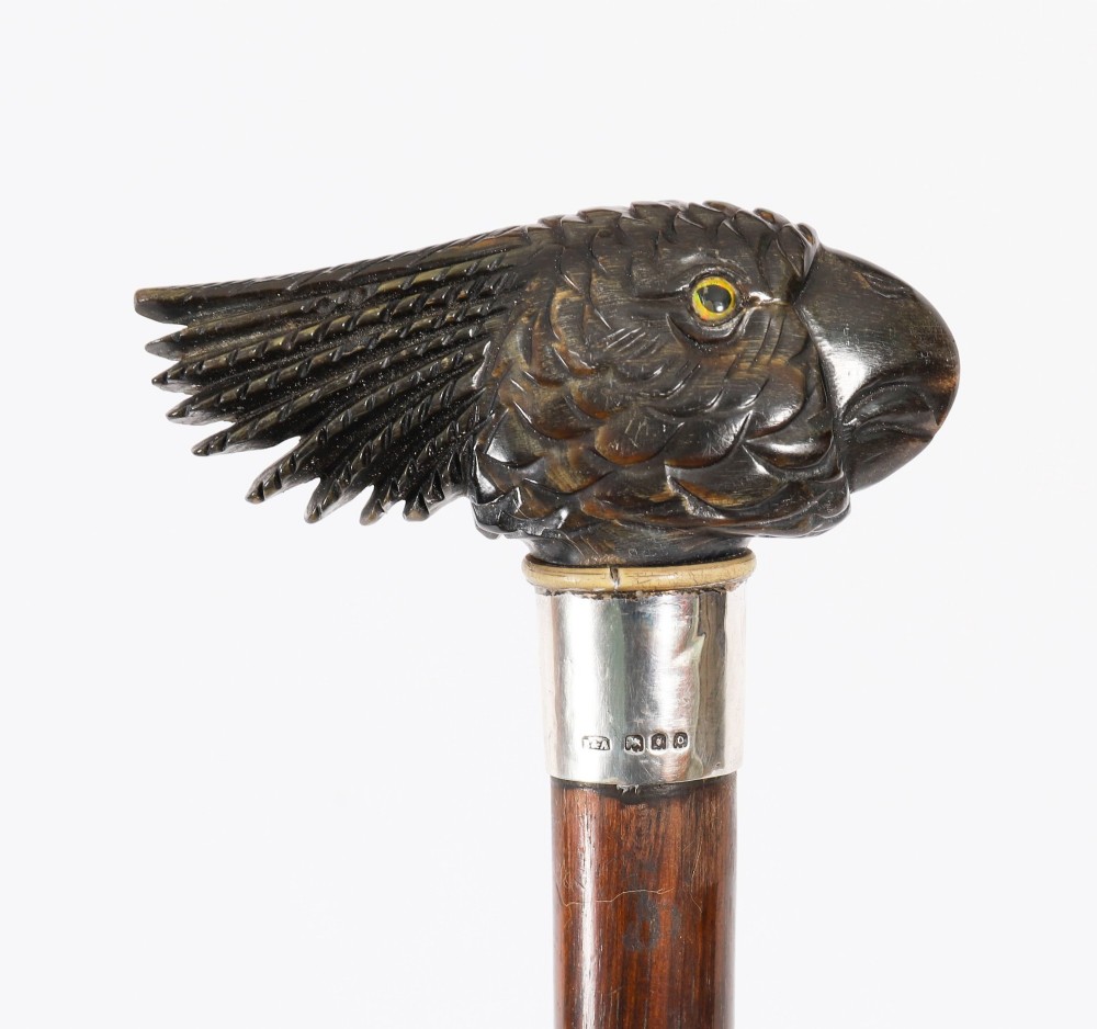 A dark hardwood Art Deco walking stick featuring a carved parrot head handle and a silver collar. View XIV