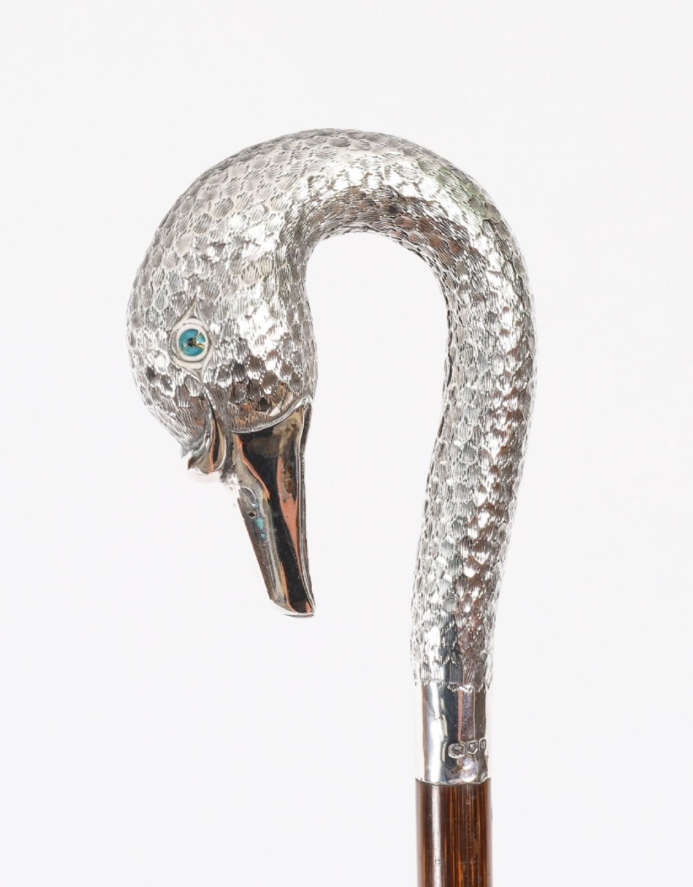 An Edwardian walking stick featuring a sterling silver swan head handle mounted on a dark wood shaft.