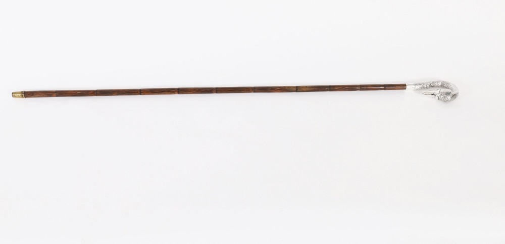 An Edwardian walking stick featuring a sterling silver swan head handle mounted on a dark wood shaft. View II