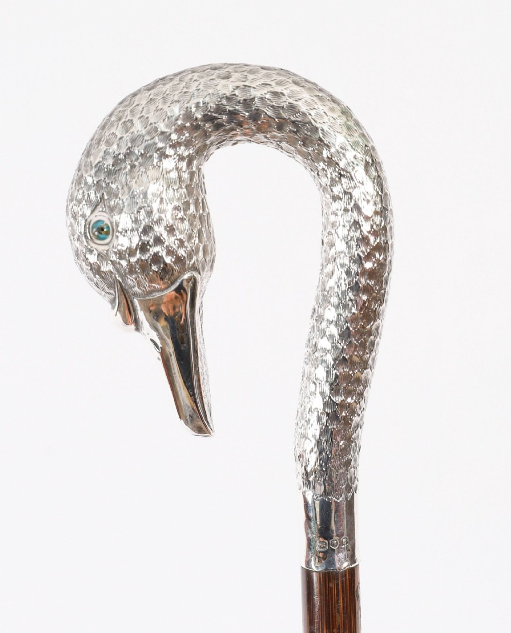 An Edwardian walking stick featuring a sterling silver swan head handle mounted on a dark wood shaft. View III