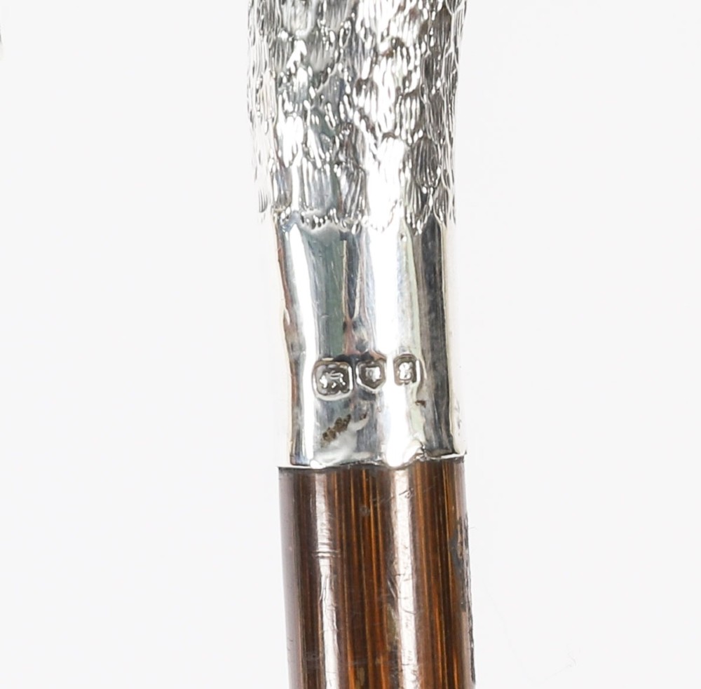An Edwardian walking stick featuring a sterling silver swan head handle mounted on a dark wood shaft. View VI