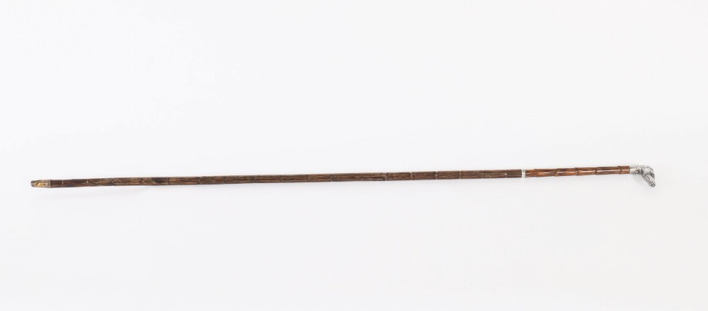 An antique walking stick featuring a sculpted silver greyhound head handle with hallmarks set upon a dark polished wood shaft. View II