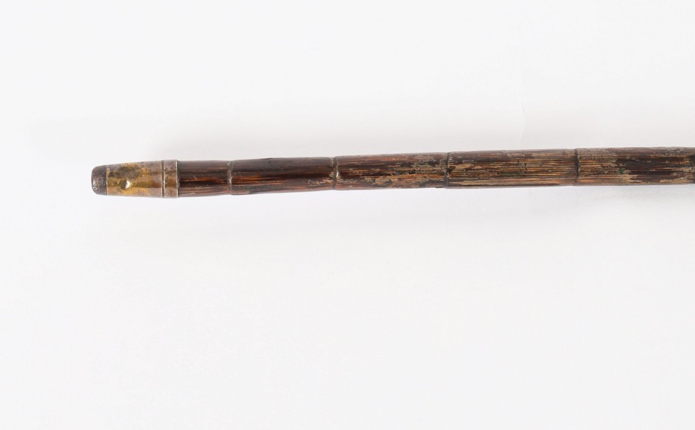 An antique walking stick featuring a sculpted silver greyhound head handle with hallmarks set upon a dark polished wood shaft. View V
