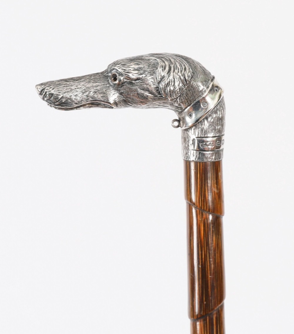 An antique walking stick featuring a sculpted silver greyhound head handle with hallmarks set upon a dark polished wood shaft. View VI