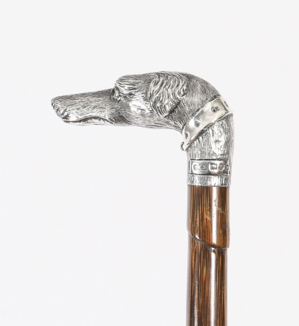 An antique walking stick featuring a sculpted silver greyhound head handle with hallmarks set upon a dark polished wood shaft. View VII