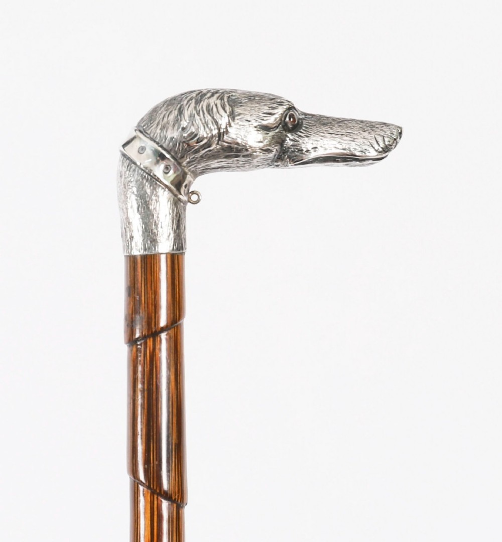 An antique walking stick featuring a sculpted silver greyhound head handle with hallmarks set upon a dark polished wood shaft. View VIII