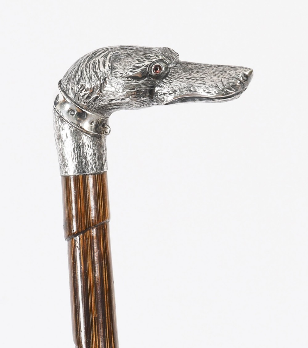 An antique walking stick featuring a sculpted silver greyhound head handle with hallmarks set upon a dark polished wood shaft. View X
