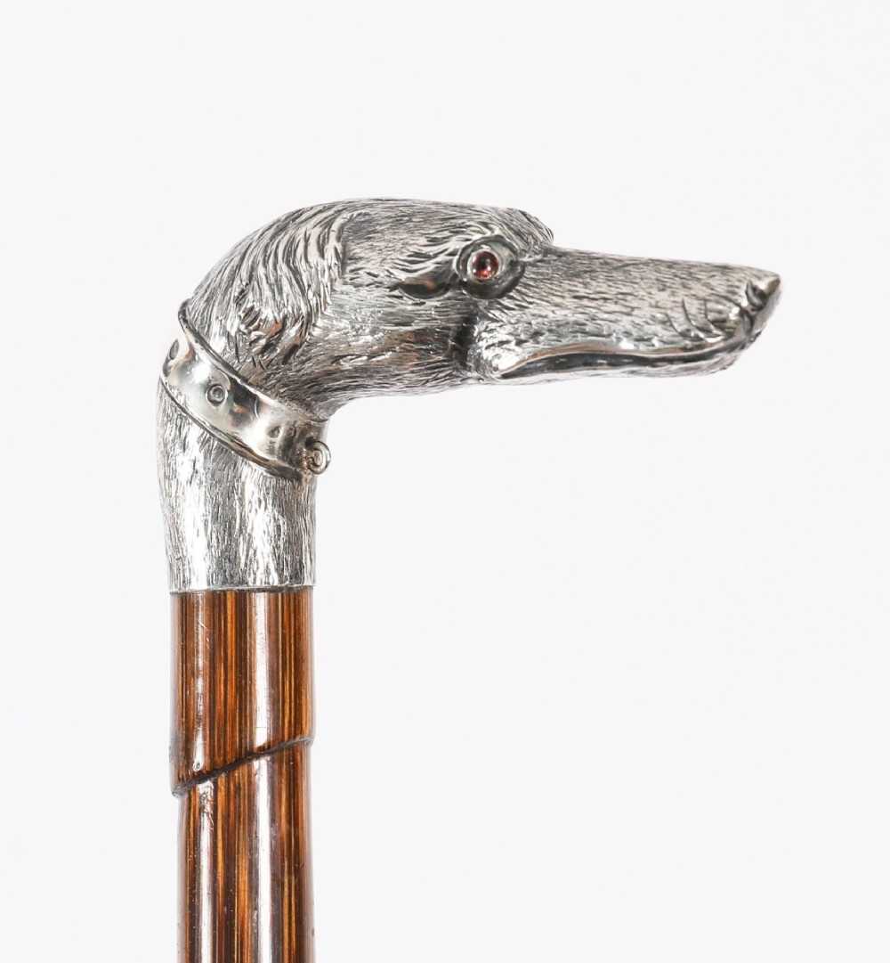 An antique walking stick featuring a sculpted silver greyhound head handle with hallmarks set upon a dark polished wood shaft. View XI