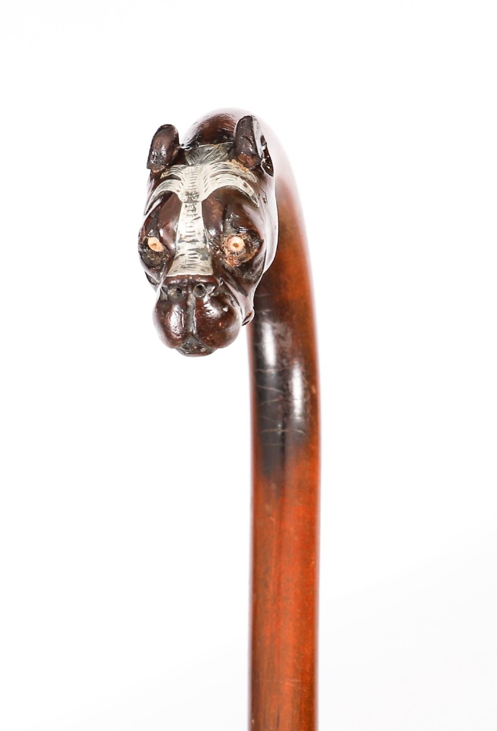 An antique dark wood walking stick featuring a curved crook handle carved into the detailed head of a boxer dog. View IV