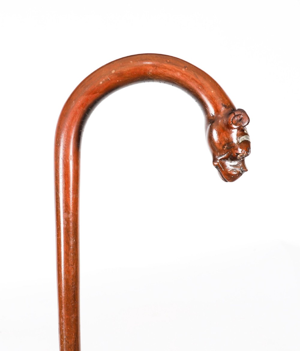An antique dark wood walking stick featuring a curved crook handle carved into the detailed head of a boxer dog. View V
