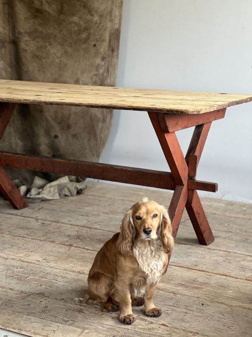 19THC X FRAME TAVERN TABLE - ADDITIONAL PHOTO 3