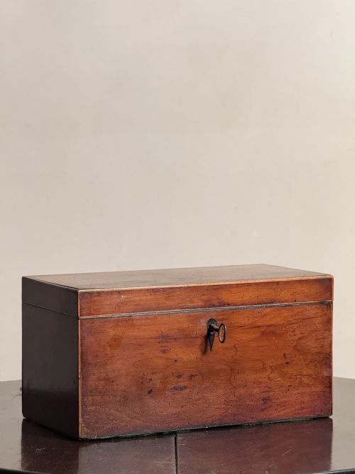 GEORGIAN YEW TEA CADDY - ADDITIONAL PHOTO 1