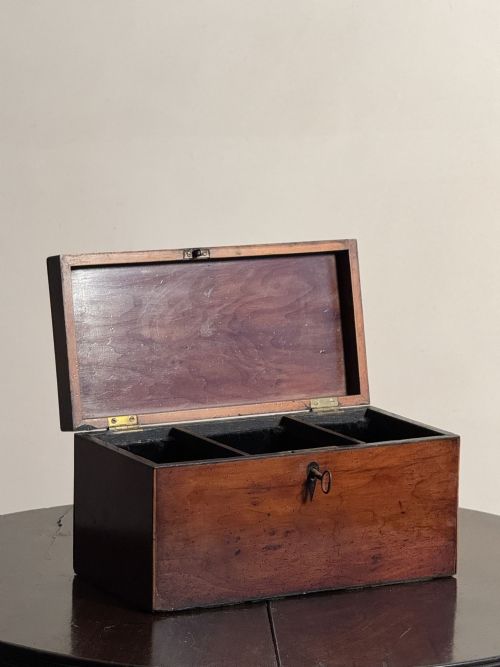 GEORGIAN YEW TEA CADDY - ADDITIONAL PHOTO 4