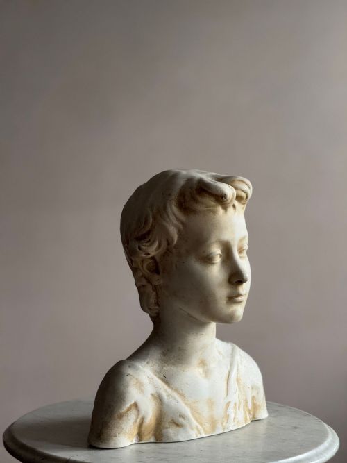 PLASTER BUST - ADDITIONAL PHOTO 5
