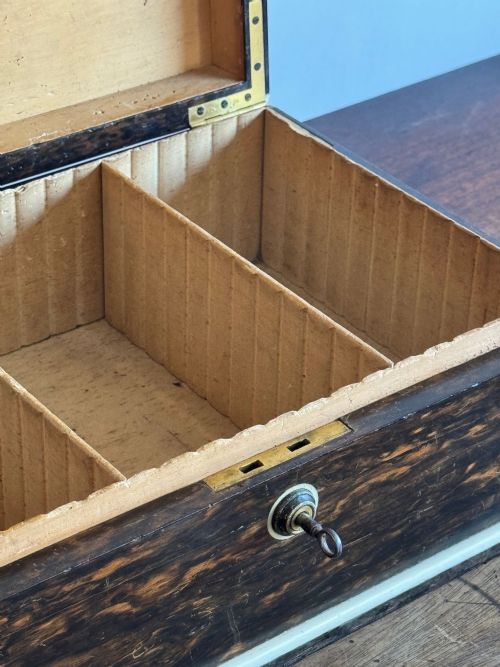 COROMANDEL BOX - ADDITIONAL PHOTO 4