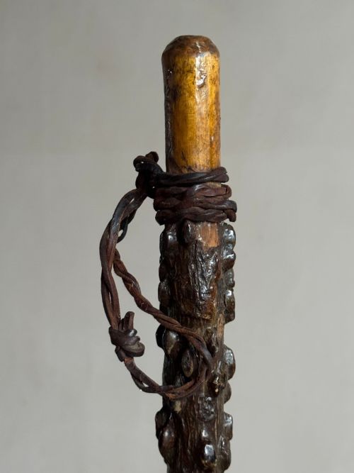 19THC WINGED ELM WALKING STICK - ADDITIONAL PHOTO 1