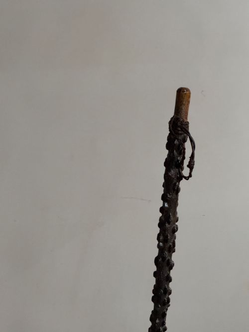 19THC WINGED ELM WALKING STICK - ADDITIONAL PHOTO 3