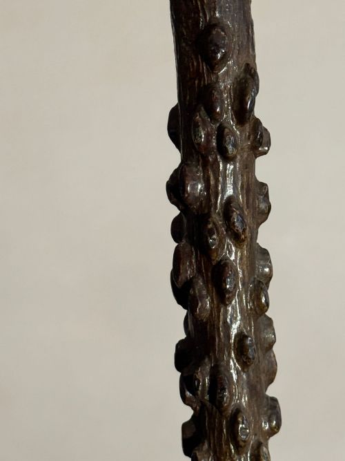 19THC WINGED ELM WALKING STICK - ADDITIONAL PHOTO 4