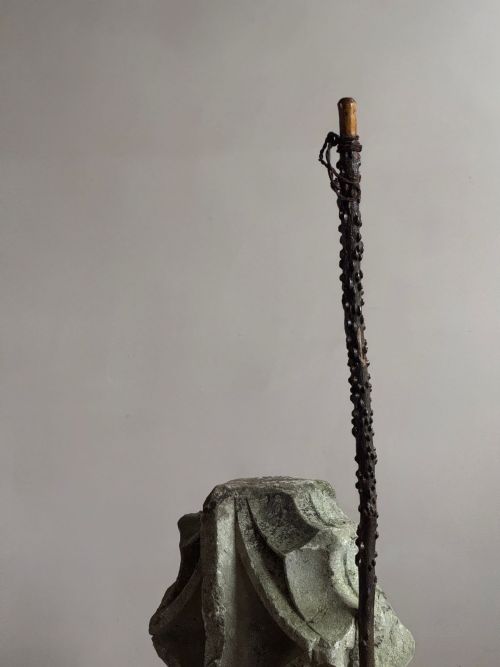 19THC WINGED ELM WALKING STICK - ADDITIONAL PHOTO 7