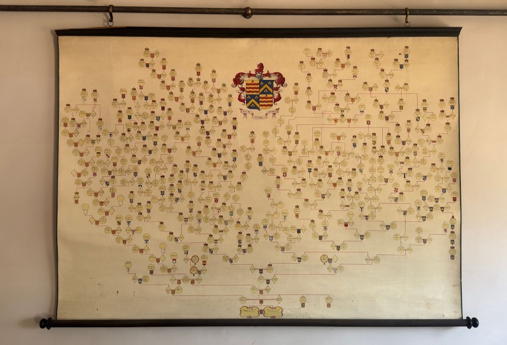 Drummond family pedigree