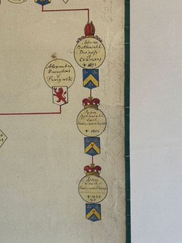 Detail View
