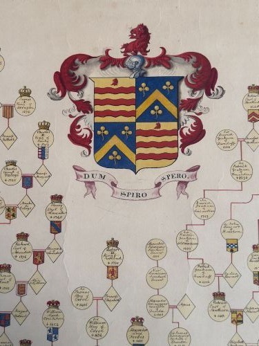 A large cream antique genealogical pedigree wall chart mounted on dark wooden hanging rollers featuring extensive family tree lines and heraldic crests. View V