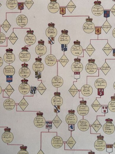 A large cream antique genealogical pedigree wall chart mounted on dark wooden hanging rollers featuring extensive family tree lines and heraldic crests. View VIII