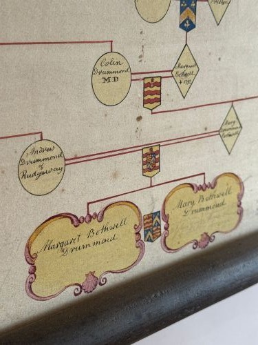 A large cream antique genealogical pedigree wall chart mounted on dark wooden hanging rollers featuring extensive family tree lines and heraldic crests. View XII