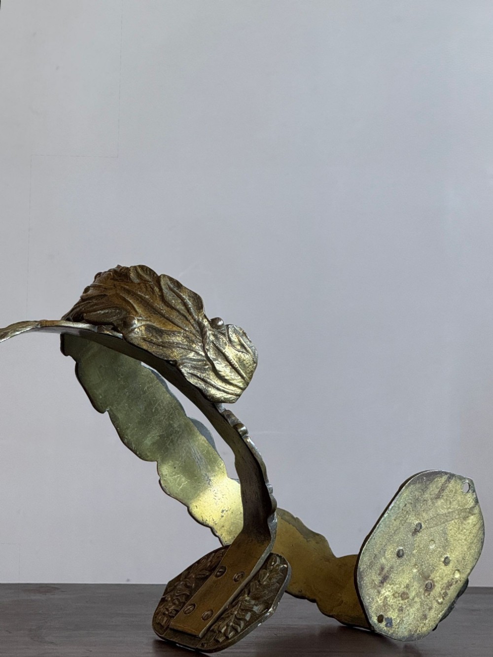 A pair of 19th-century gilt brass curtain tie-backs featuring cast foliage motifs and round mounting plates. View V