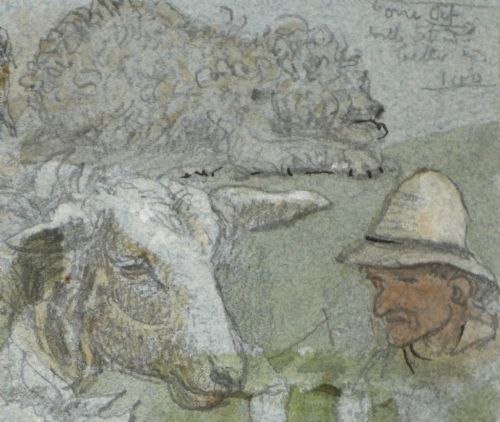 fig 3. A 19th-century watercolour and graphite study sheet depicting detailed sketches of sheep, dogs, and a farm worker, inscribed with Aylesbury.