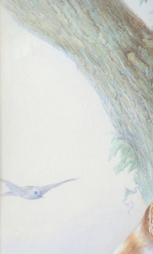 A Victorian watercolour painting titled The Owl Family depicting an adult barn owl perched on an ivy-clad tree branch beside a nest with two chicks. View V