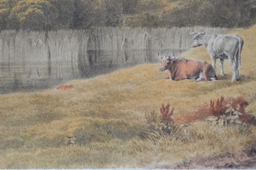 fig 4. A Georgian watercolour landscape depicting cattle grazing in a meadow at Lambeth Marsh with St. Pauls Cathedral in the background.