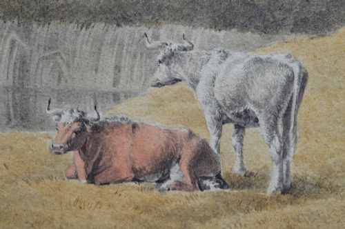 fig 5. A Georgian watercolour landscape depicting cattle grazing in a meadow at Lambeth Marsh with St. Pauls Cathedral in the background.