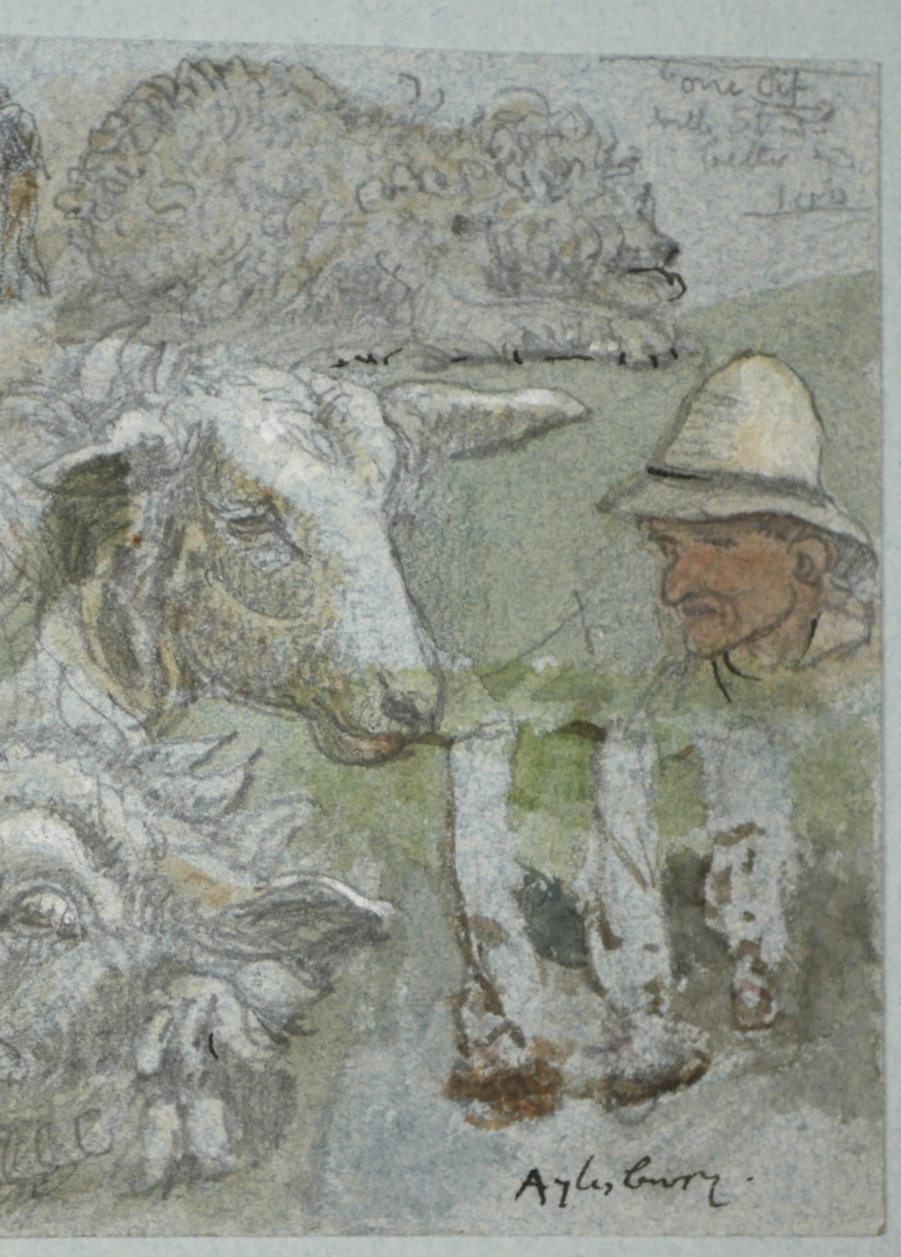 A 19th-century watercolour and graphite study sheet depicting detailed sketches of sheep, dogs, and a farm worker, inscribed with Aylesbury. View III