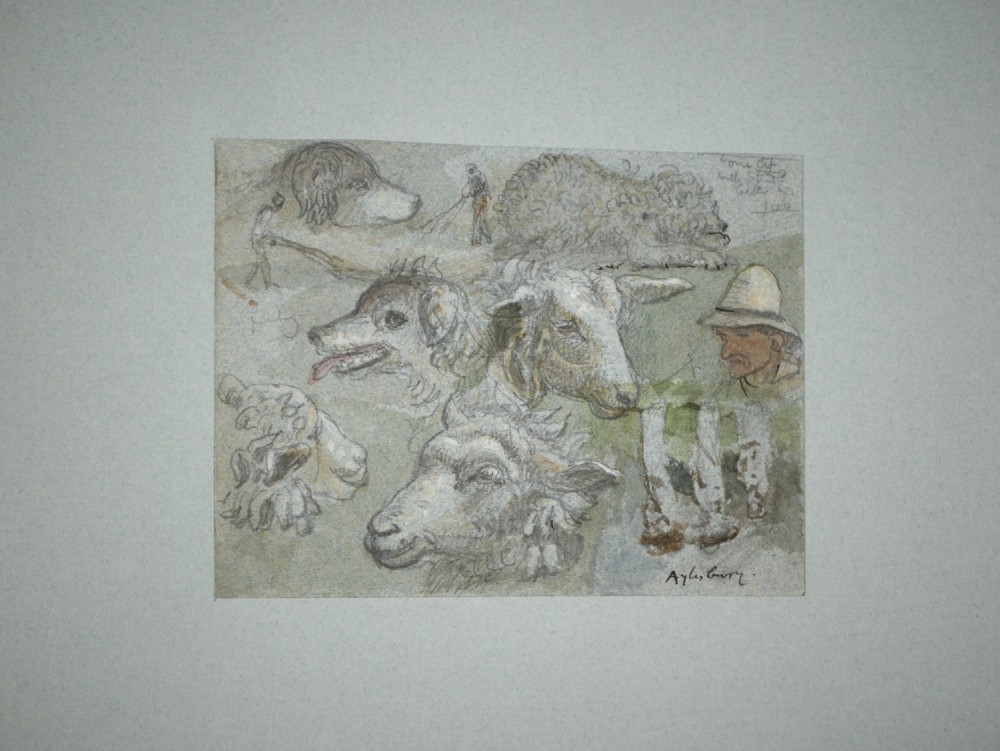 A 19th-century watercolour and graphite study sheet depicting detailed sketches of sheep, dogs, and a farm worker, inscribed with Aylesbury. View V
