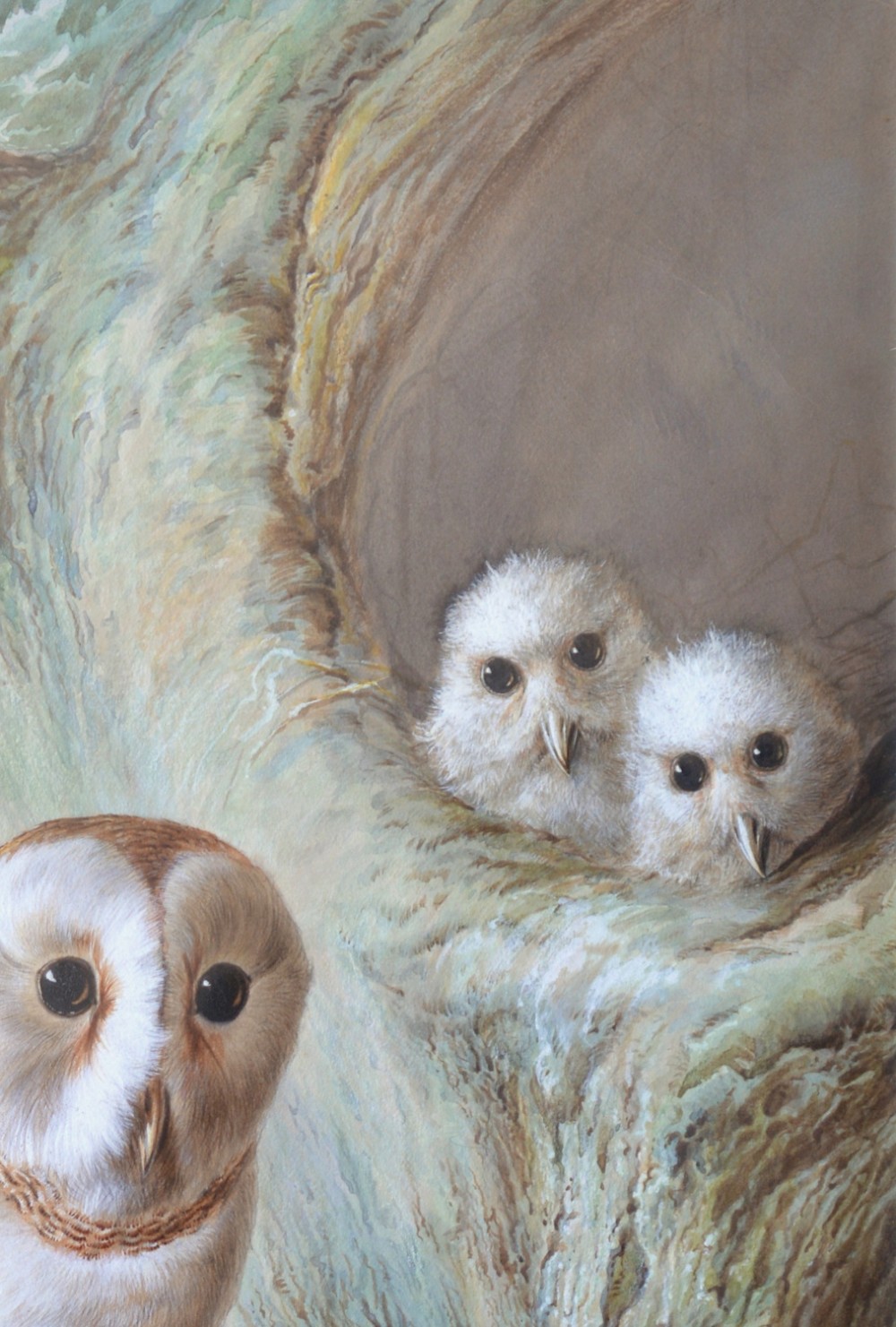 A Victorian watercolour painting titled The Owl Family depicting an adult barn owl perched on an ivy-clad tree branch beside a nest with two chicks. View III