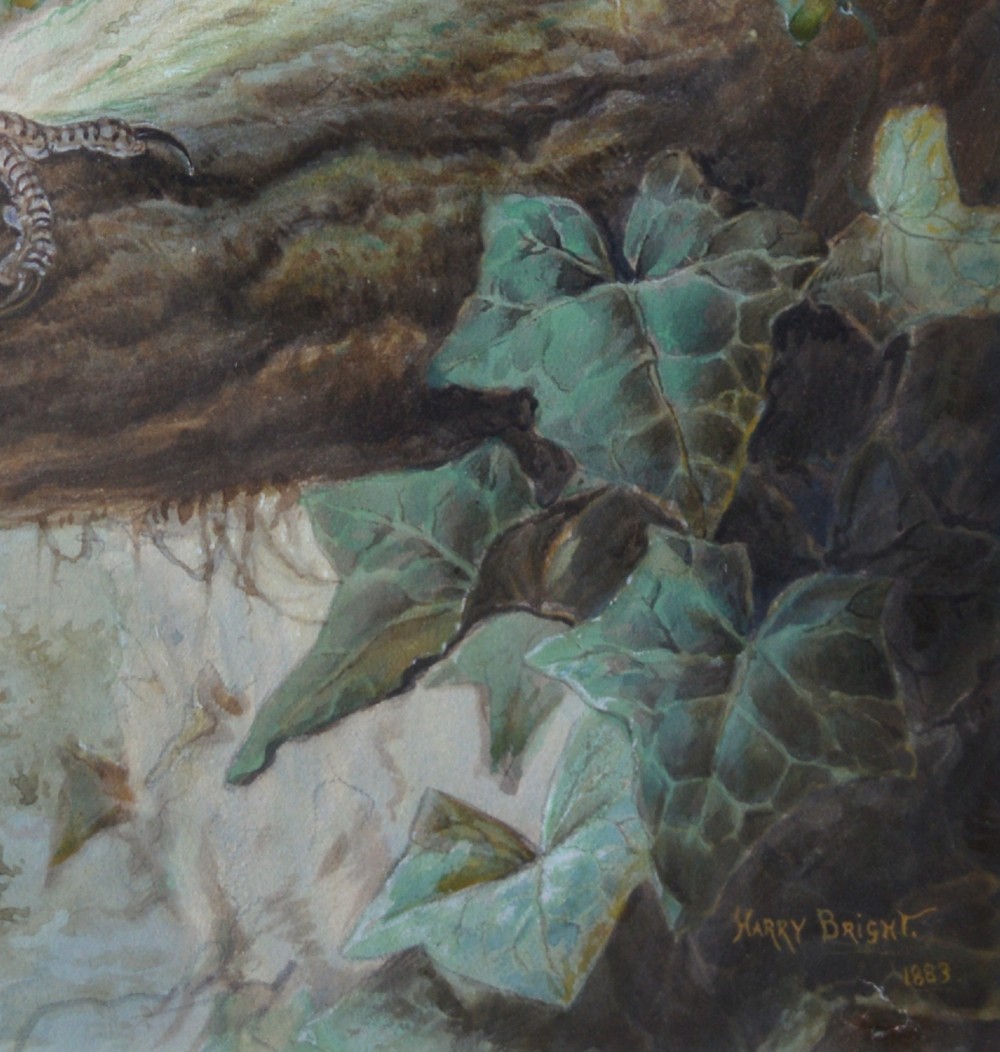 A Victorian watercolour painting titled The Owl Family depicting an adult barn owl perched on an ivy-clad tree branch beside a nest with two chicks. View IV